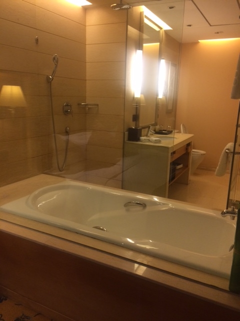 f:id:sasasan3:20161211000834j:plain