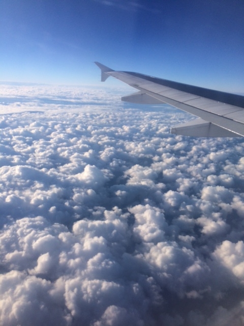 f:id:sasasan3:20170213233201j:plain