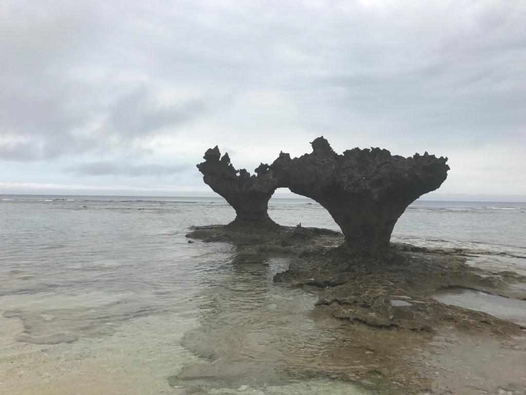 f:id:sasasan3:20170510222520j:plain f:id:sasasan3:20170510222520j:plain