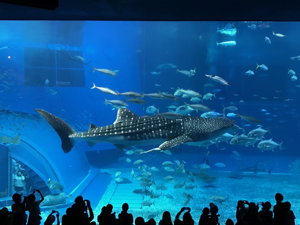 f:id:sasasan3:20170510234737j:plain f:id:sasasan3:20170510234737j:plain