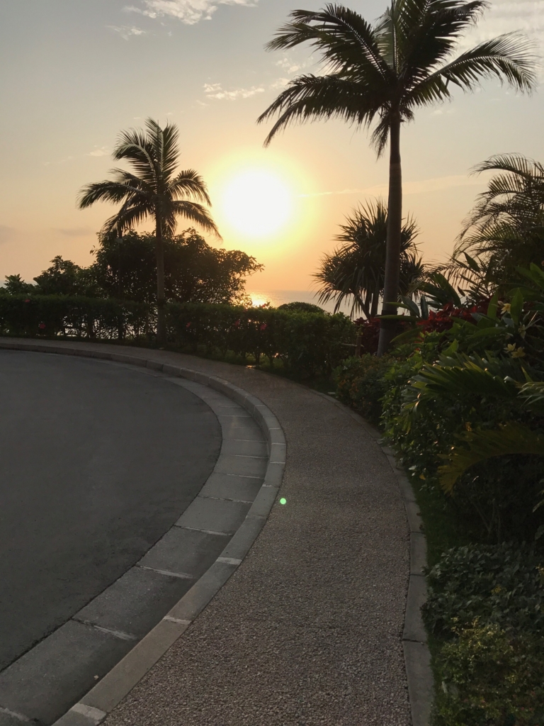 f:id:sasasan3:20170517011058j:plain