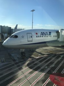 シドニーのオペラハウスでビール満喫!その後はクルージングがおすすめ!【シドニー旅行記3】