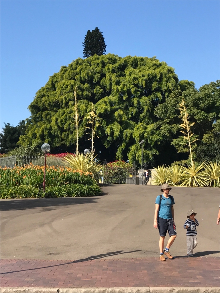 f:id:sasasan3:20170528015304j:plain f:id:sasasan3:20170528015304j:plain