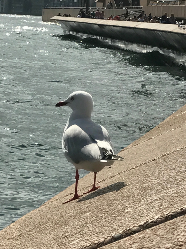 f:id:sasasan3:20170528015612j:plain f:id:sasasan3:20170528015612j:plain