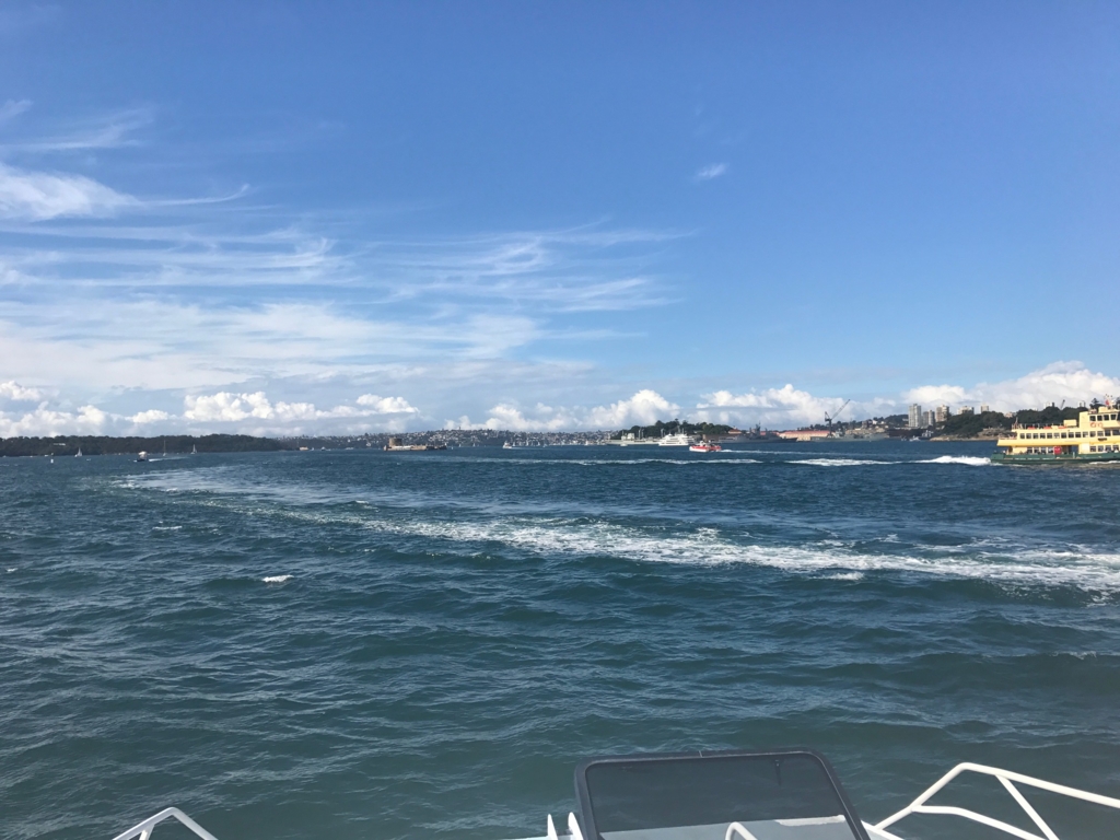 f:id:sasasan3:20170528234039j:plain f:id:sasasan3:20170528234039j:plain