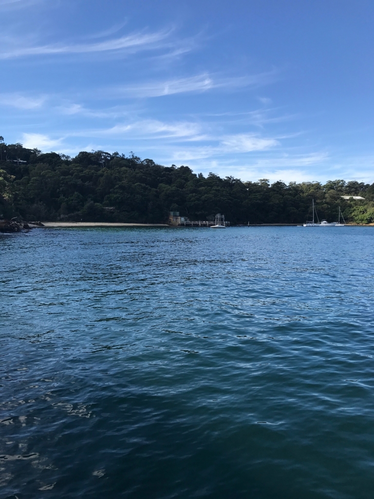 f:id:sasasan3:20170528234203j:plain f:id:sasasan3:20170528234203j:plain