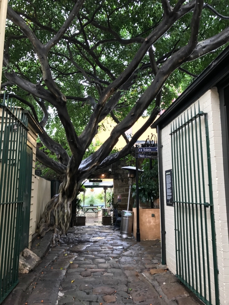 f:id:sasasan3:20170531124025j:plain f:id:sasasan3:20170531124025j:plain