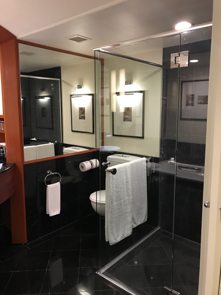 f:id:sasasan3:20170609014252j:plain f:id:sasasan3:20170609014252j:plain