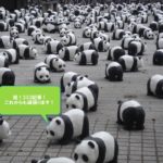 祝333記事!目標達成ができました。これから目指していきたいところ、最近意識している大切なこと。