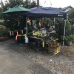 2017年、巾着田の曼殊沙華まつり!満開の曼殊沙華は最高にキレイ。見頃は今週末まで!