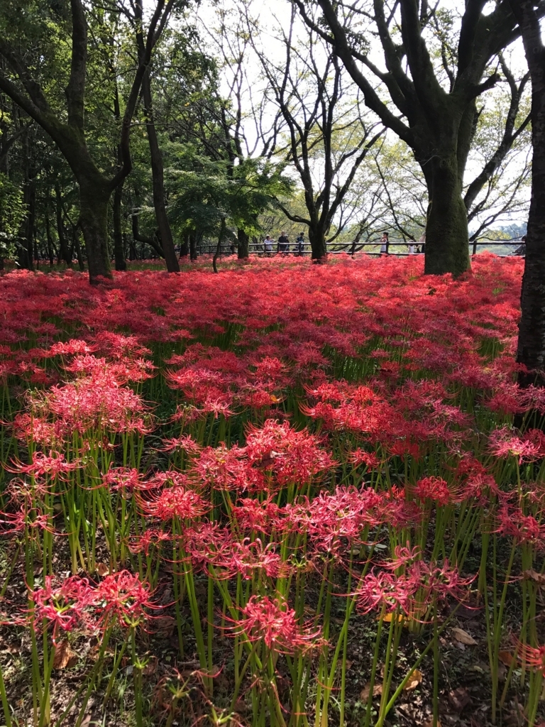 f:id:sasasan3:20170927000024j:plain f:id:sasasan3:20170927000024j:plain