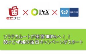 【2018年2月19日最新】ECナビの強烈キャンペーンでANAマイル移行が実質99%へ!マイルを一気に貯める!
