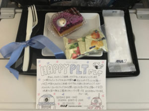 陸マイラーのSFC修行ルート大公開!準備、費用内訳までを解説!ANAプラチナステイタスに到達!!