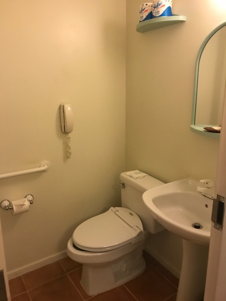 f:id:sasasan3:20171028234900j:plain f:id:sasasan3:20171028234900j:plain