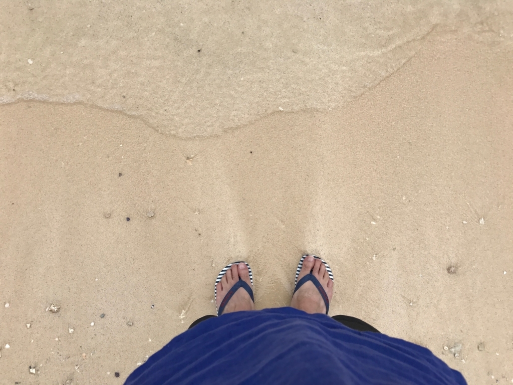 f:id:sasasan3:20171029003235j:plain f:id:sasasan3:20171029003235j:plain