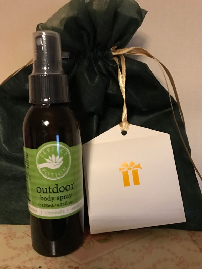 f:id:sasasan3:20171103233230j:plain