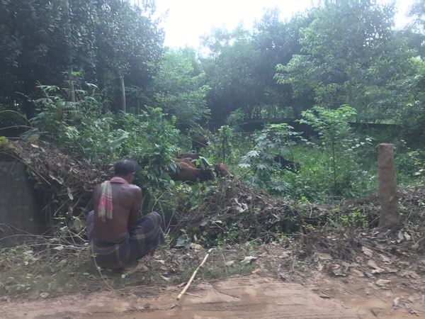 f:id:sasasan3:20171109235348j:plain