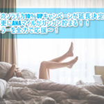 ソラチカルート99%還元はまだまだ続く、ANAマイルをガンガン貯めるならECナビ!ECナビのソラチカ10%UPキャンペーンが延長決定!!