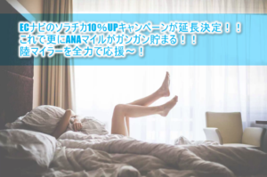 ソラチカルート99%還元はまだまだ続く、ANAマイルをガンガン貯めるならECナビ!ECナビのソラチカ10%UPキャンペーンが延長決定!!
