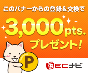 毎日貯まるポイントサイトECナビ