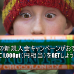 2018年3月最新！！モッピーのWボーナスキャンペーンで1,000pt！JALマイルが最も貯まるおすすめのポイントサイト！