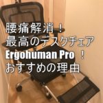 腰痛の私が全力でおすすめする椅子はエルゴヒューマンPro!デスクワークが劇的に改善!座り心地、魅力を徹底解説!