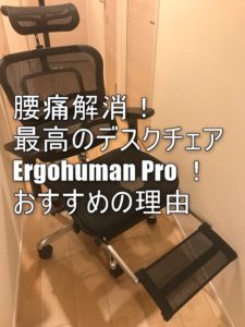 腰痛の私が全力でおすすめする椅子はエルゴヒューマンPro!デスクワークが劇的に改善!座り心地、魅力を徹底解説!