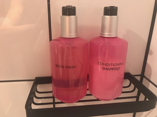 f:id:sasasan3:20180122012911j:plain