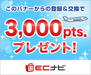 毎日貯まるポイントサイトECナビ