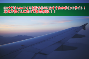 2018年10月最新！ECナビはANAマイルを貯めるおすすめのポイントサイト！副業で稼ぐ人に向けて徹底解説！
