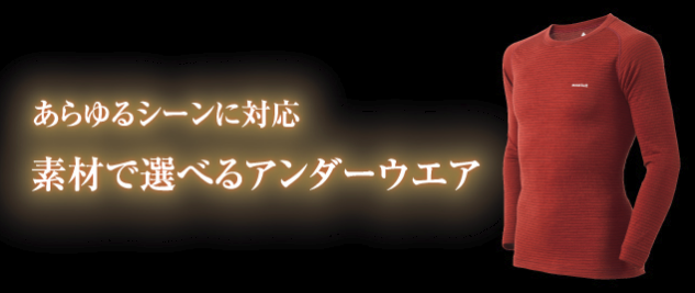 f:id:sasasan3:20180219140838p:plain f:id:sasasan3:20180219140838p:plain