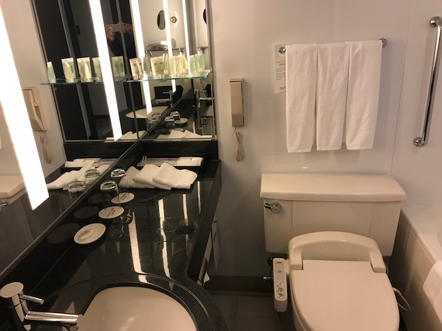 f:id:sasasan3:20180222004627j:plain