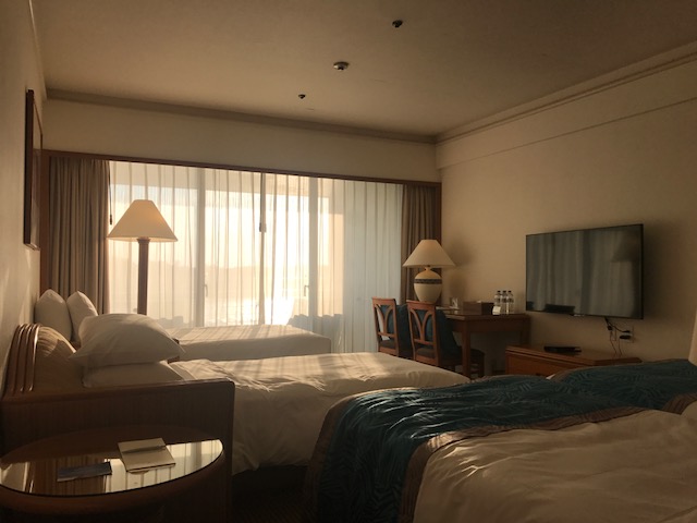 f:id:sasasan3:20180520225820j:plain