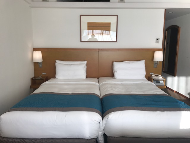 f:id:sasasan3:20180520225827j:plain