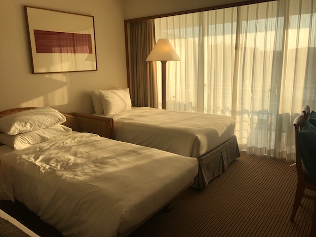 f:id:sasasan3:20180520225832j:plain