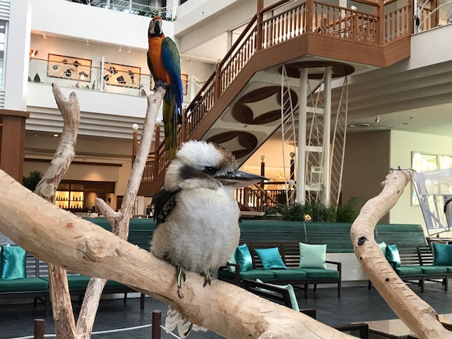 f:id:sasasan3:20180520234042j:plain