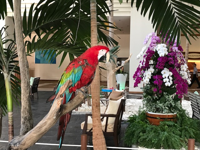 f:id:sasasan3:20180520234055j:plain