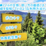 ANAマイルの交換、使い方、価値のまとめ！徹底解説！