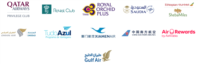 カリゴ提携航空会社3