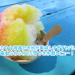 台湾風かき氷が美味しすぎ!おすすめかき氷器「電動ふわふわとろ雪 かき氷器」レビュー!レシピも公開!