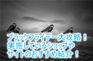2018年最新！年に1度のセール祭り「ブラックフライデー」総まとめ！大セールをするショップ、サイトを紹介！