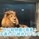 北海道旅行記!円山動物園は札幌からもアクセス近くておすすめ!シロクマのトンネルが凄い!