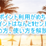 dポイントがハワイ(海外)で貯まる!1ポイントが1セントでお得!ハワイの支払い、使い方を解説!