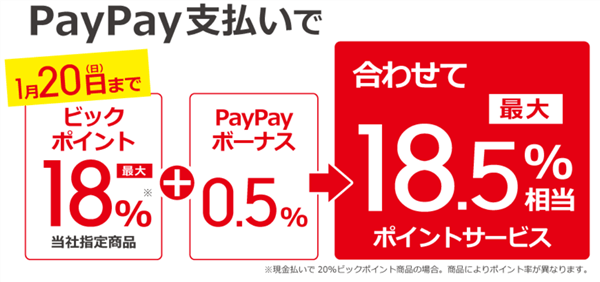 Paypay ペイペイ 利用のキャンペーン2019年1月8日スタート ビックカメラは最大18 5 還元 エディオンは15 平均年収陸マイラーの毎年家族で海外旅行