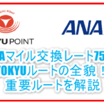 TOKYUルートとは?ANAマイル交換レート75%で陸マイラー最重要ルート!最速3週間で交換!【2021年版】
