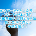 陸マイラーの効率の良い始め方!スタートから3か月で11万ANAマイルと66,700ポイント貯める方法。