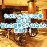 ウェスティンホテル東京ブログ宿泊記!エグゼクティブルームのレビュー!無料宿泊、ラウンジも朝食も無料の秘密とは?