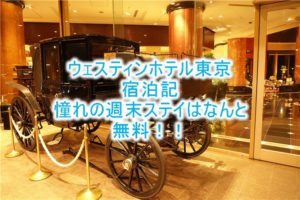 ウェスティンホテル東京ブログ宿泊記!エグゼクティブルームのレビュー!無料宿泊、ラウンジも朝食も無料の秘密とは?