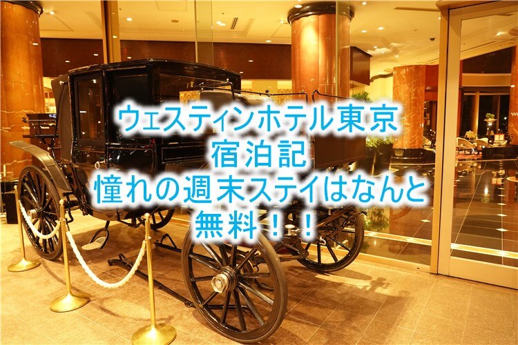 ウェスティンホテル東京ブログ宿泊記！エグゼクティブルームのレビュー！無料宿泊、ラウンジも朝食も無料の秘密とは？