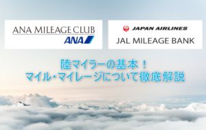 マイル、マイレージとは?今更聞けない!陸マイラーの初心者にもわかりやすく基本からマイルの貯め方・使い方を徹底解説!